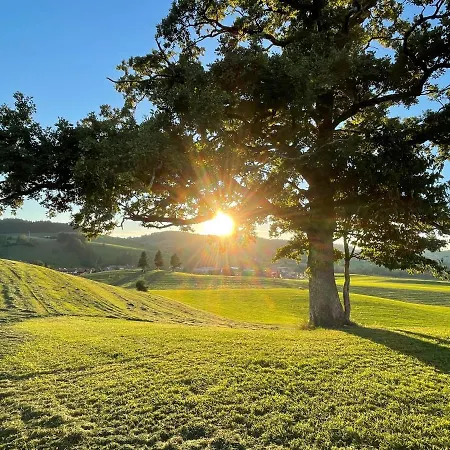 酒店 Parkhotel 上施陶芬